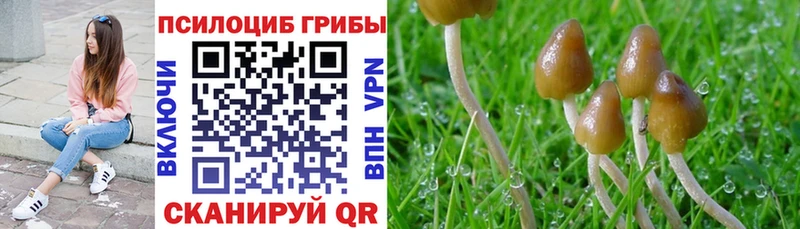 Галлюциногенные грибы Psilocybine cubensis  мега зеркало  Нижний Тагил 